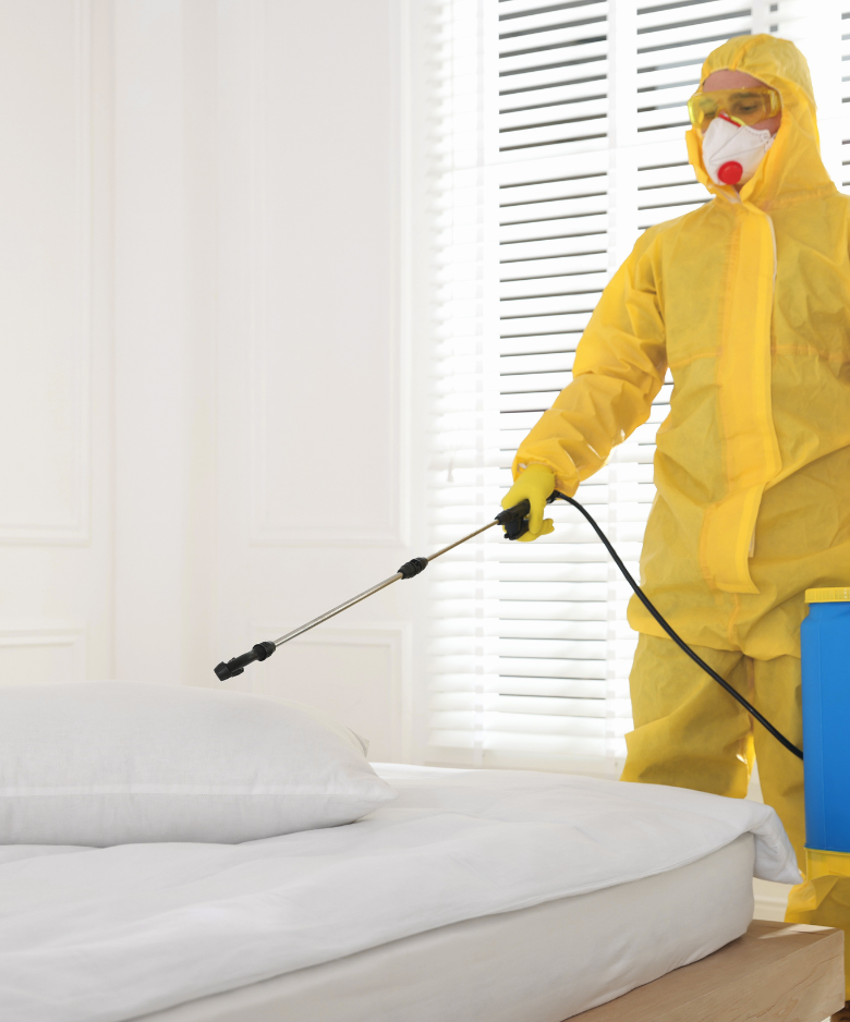 Professional Pest Control Team in Dudley Park